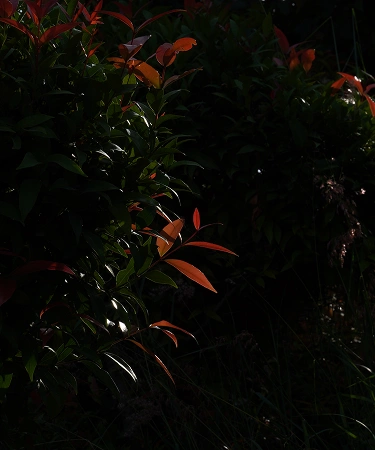 Contact Us Background