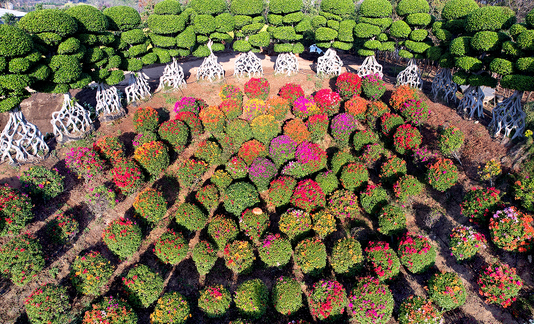 Adventure Zone - Rope Course