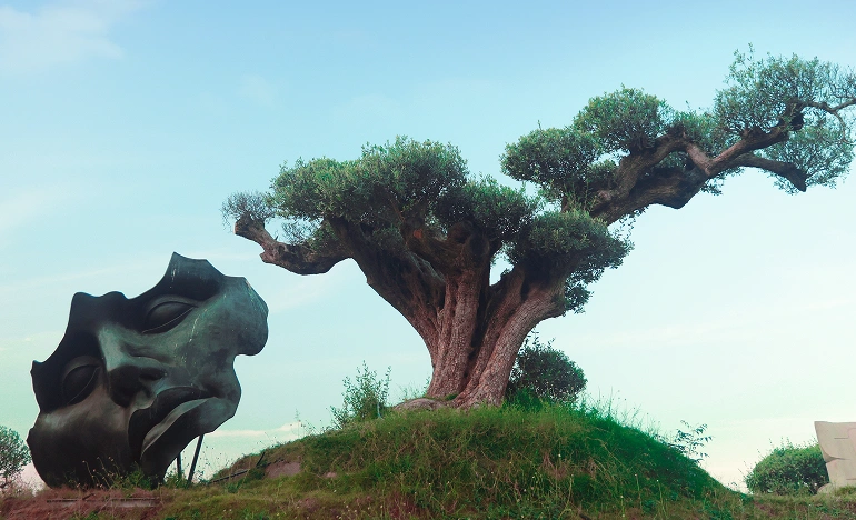 Adventure Zone - Rope Course