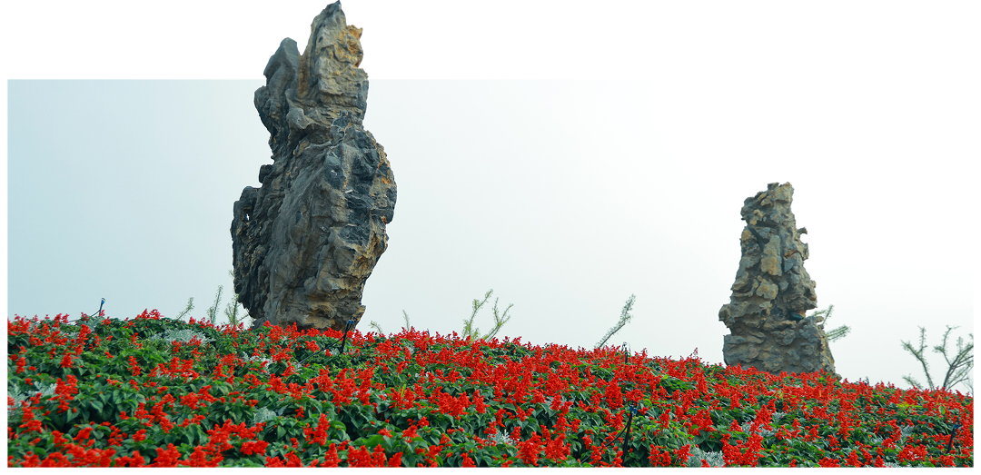 Rock formations with red flowers at Experium Park